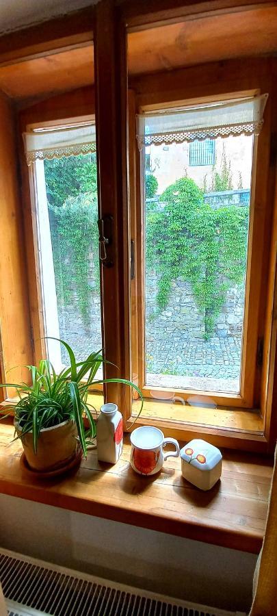 Penzion Merlin Český Krumlov Kültér fotó